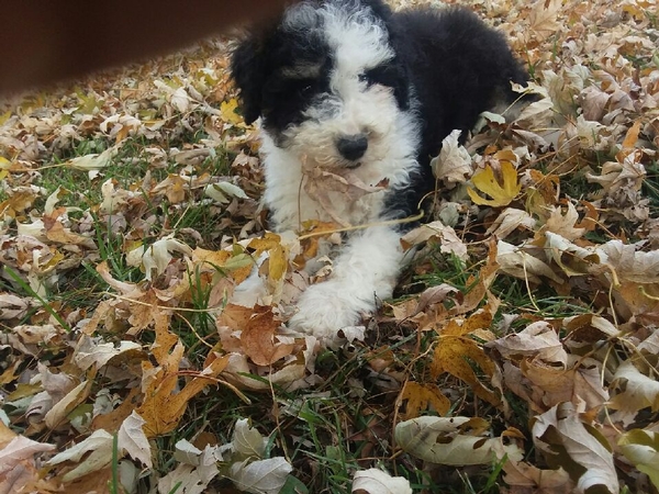 growing up fast